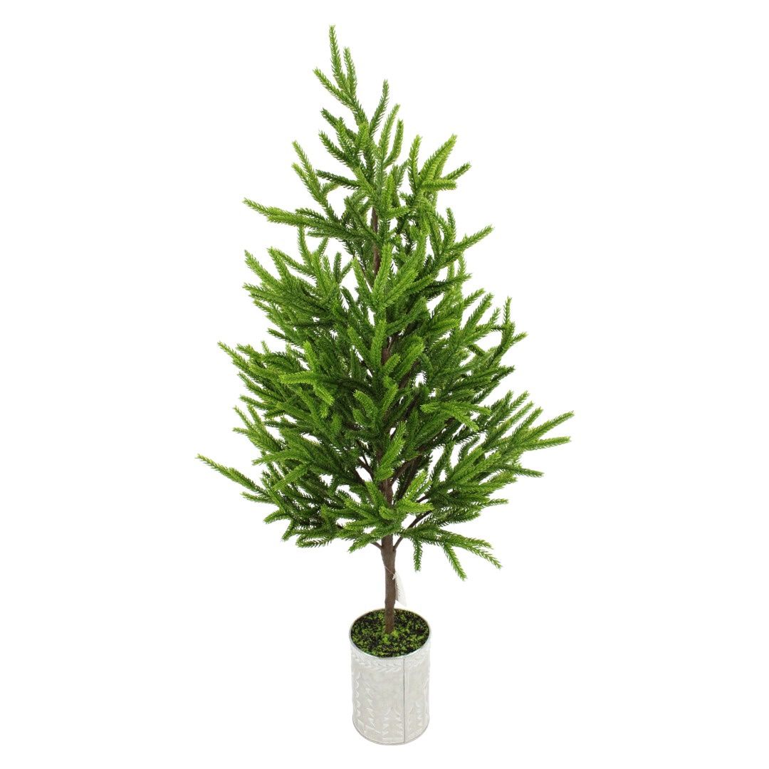 Tree, 32&quot; Norfolk Pine Potted