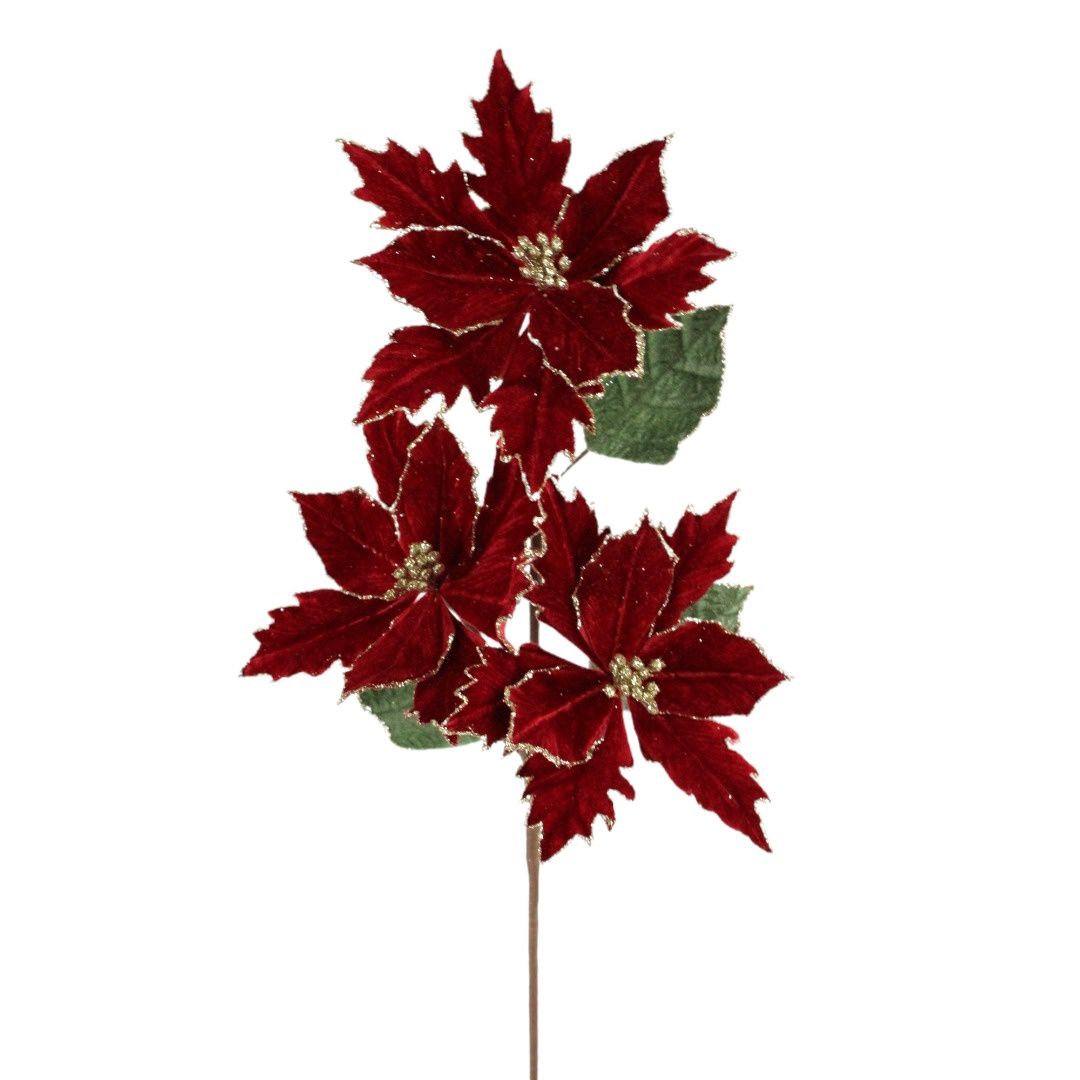 Poinsettia, 26" Deep Red 3 Blossom