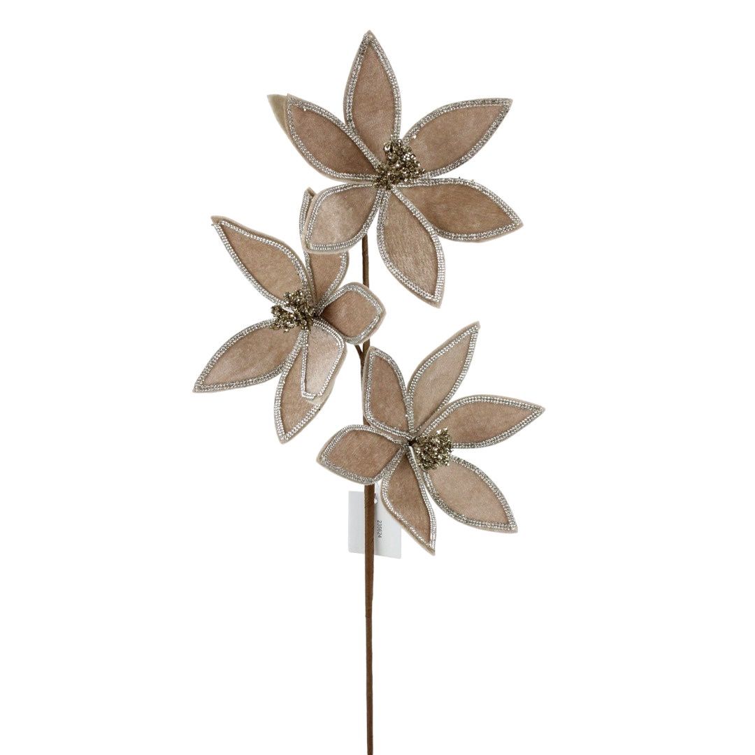 Poinsettia, Champagne w/Silver Rhinestone Edge 23" 3head