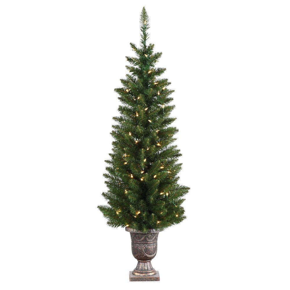 Tree, 6.5&#39;x18&quot; Normandy Pine Pencil Potted