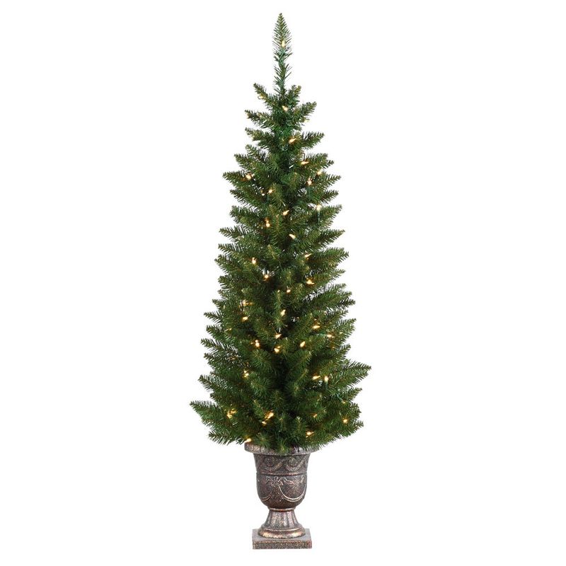 Tree, 6.5&#39;x18&quot; Normandy Pine Pencil Potted