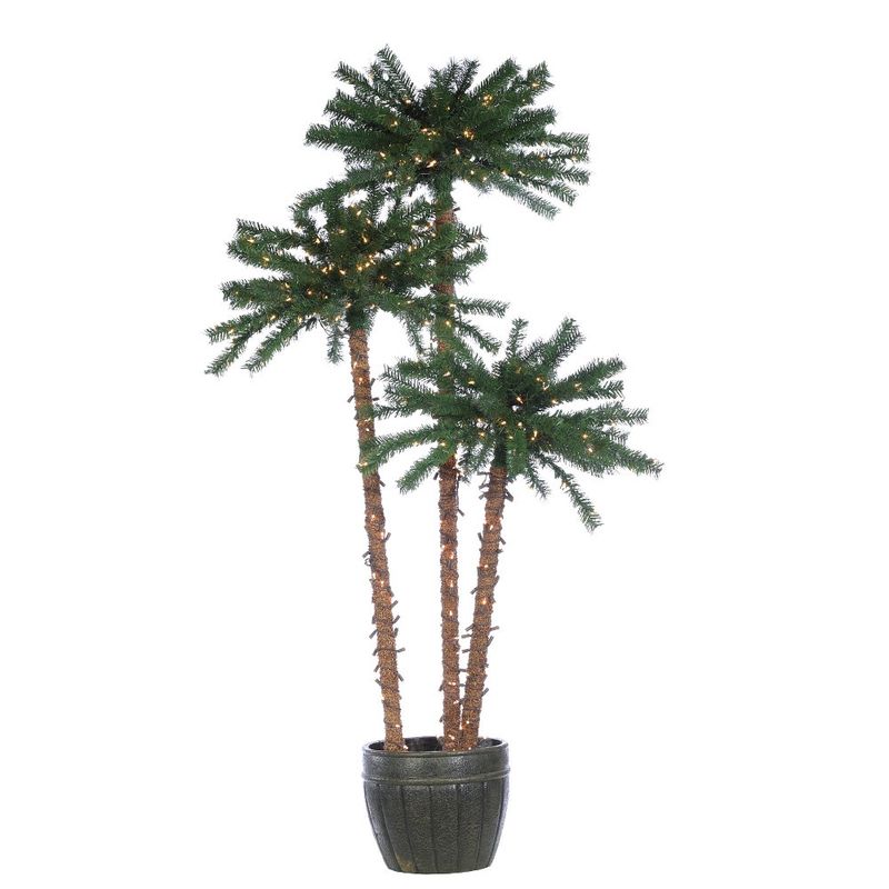 Tree, 3 Palms Potted