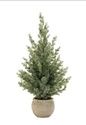 Tree, Potted 23&quot; Mini Pine