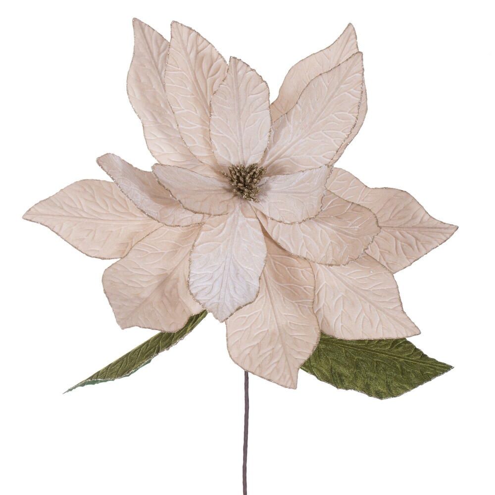 Poinsettia, Champagne 24" Flower