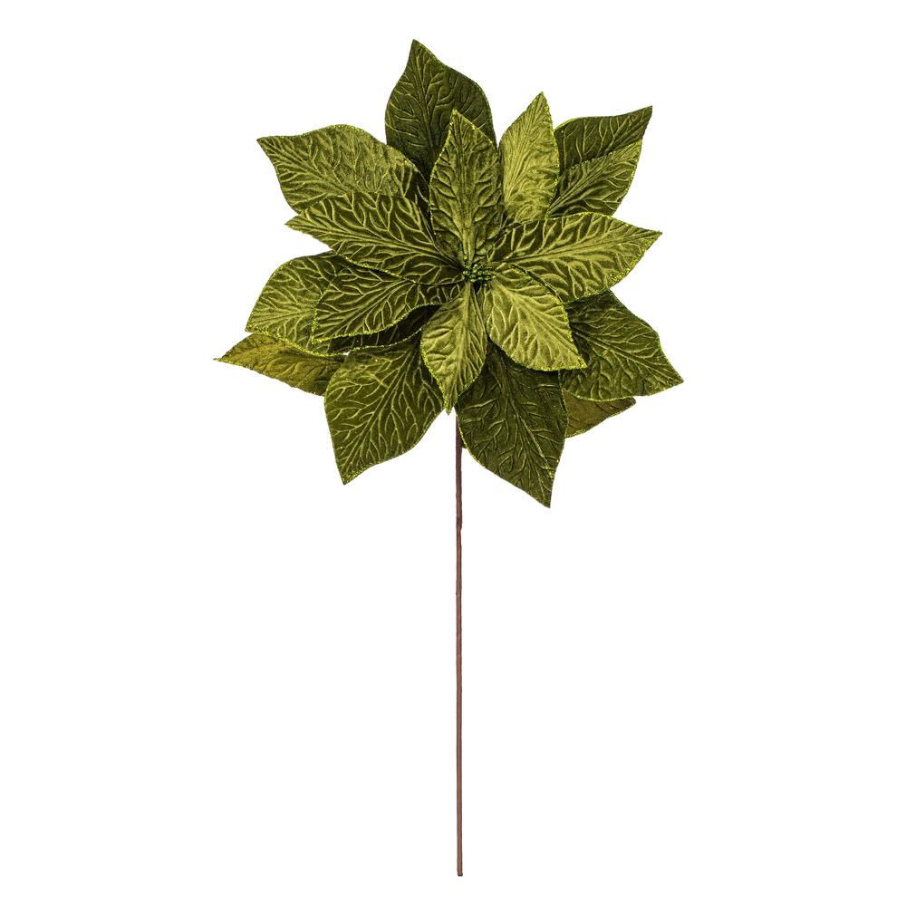 Poinsettia, Green 24" Flower
