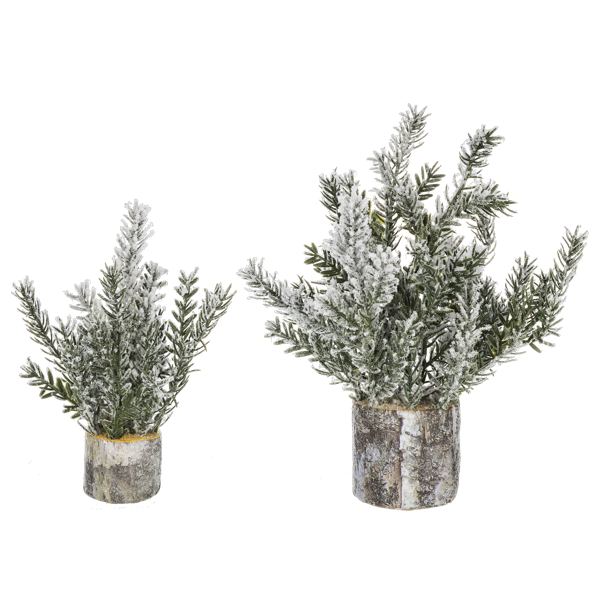 Tree, Frosted in Birch Pot Set/2  8"-11"