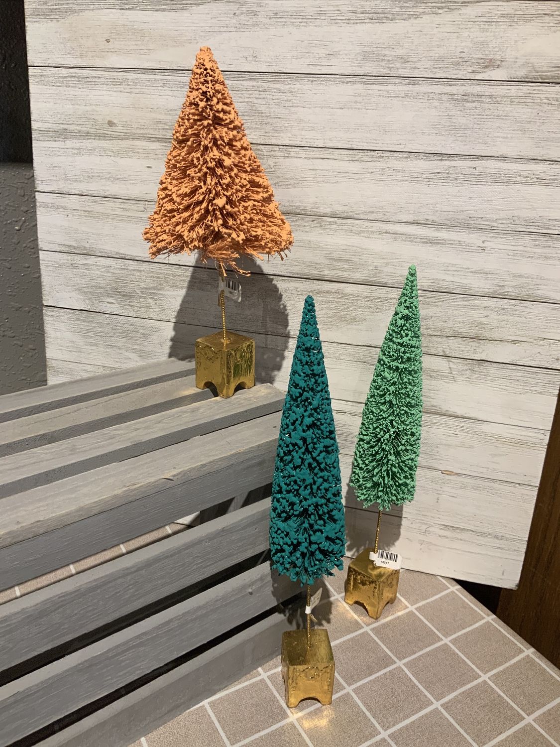 Tree, Bottlebrush Med Asst Colors