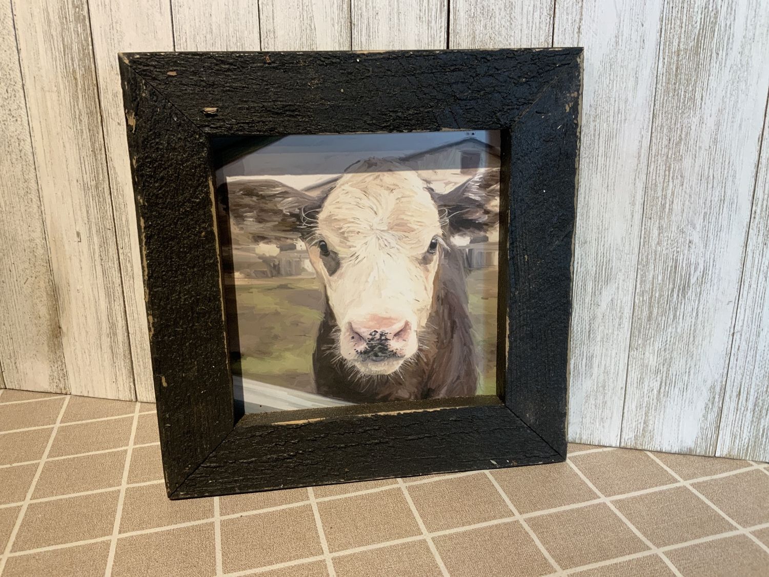 Picture, Calf F1 Baldy