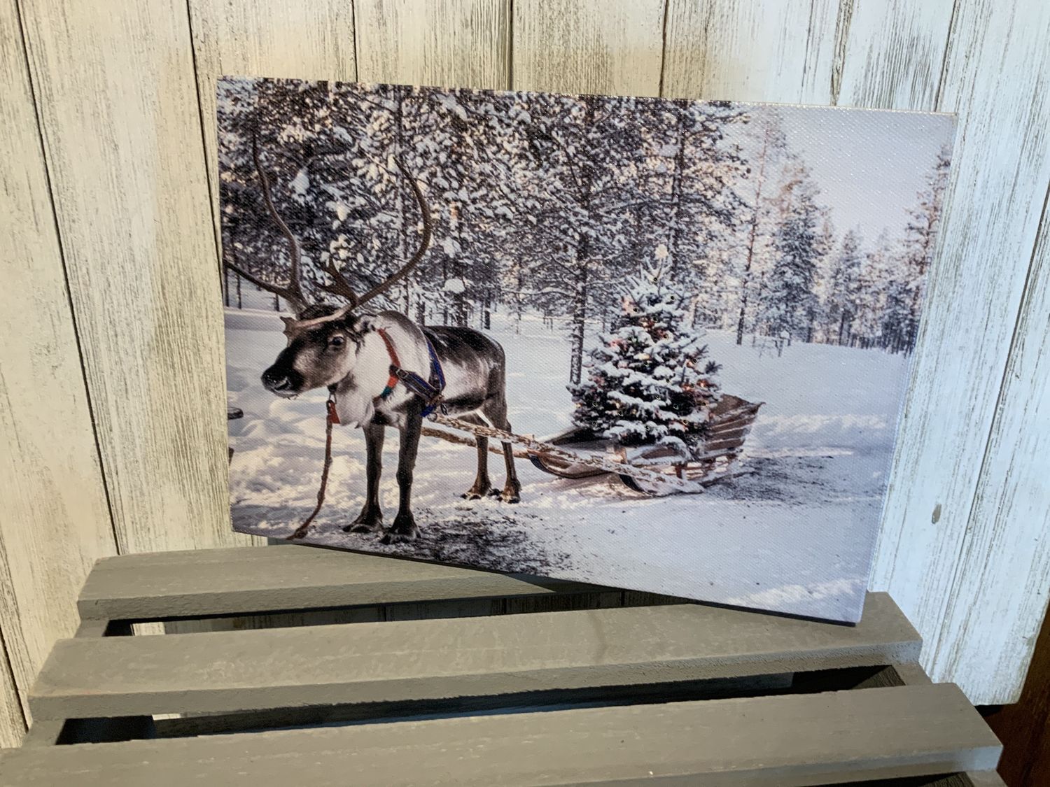 LED Canvas, Deer SM