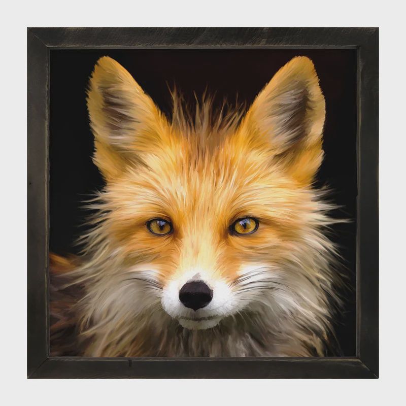 Picture, Fox 25"x25"
