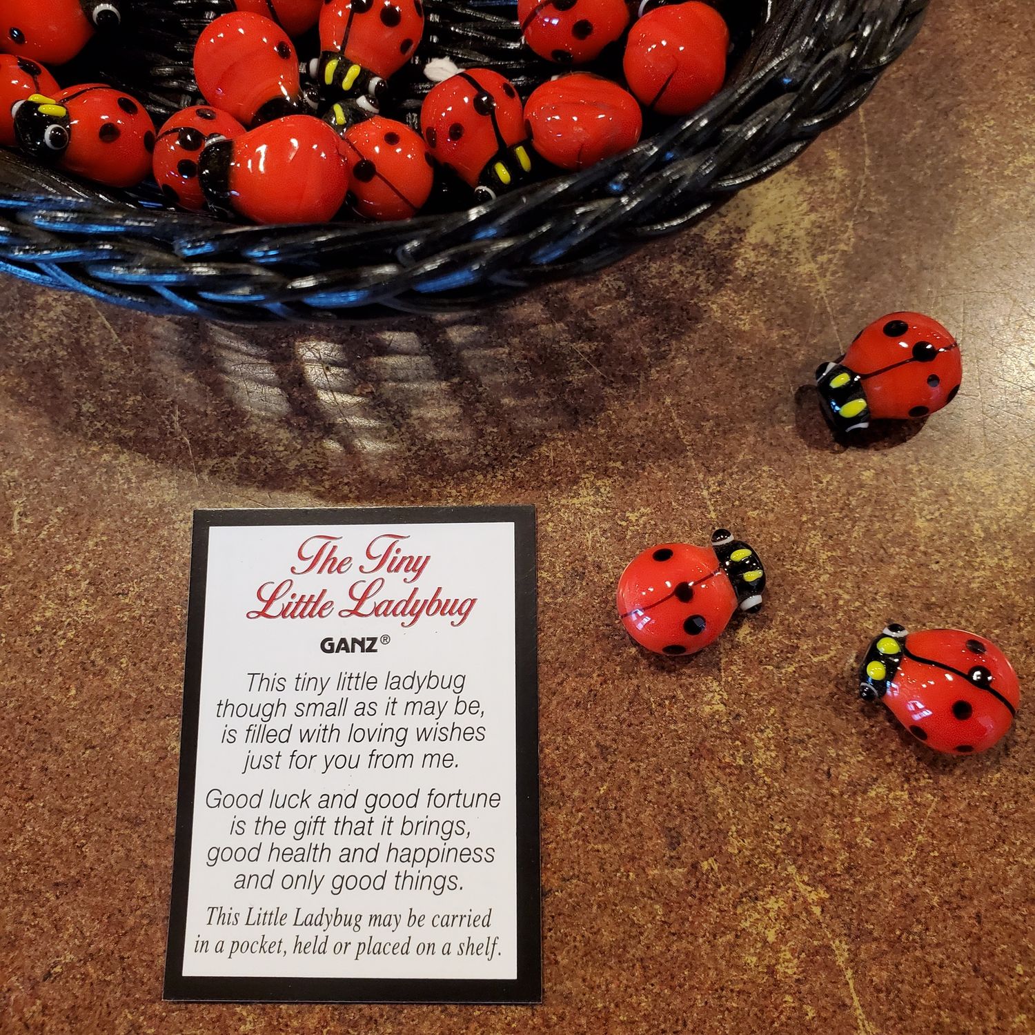 Pocket Charm, Lady Bug