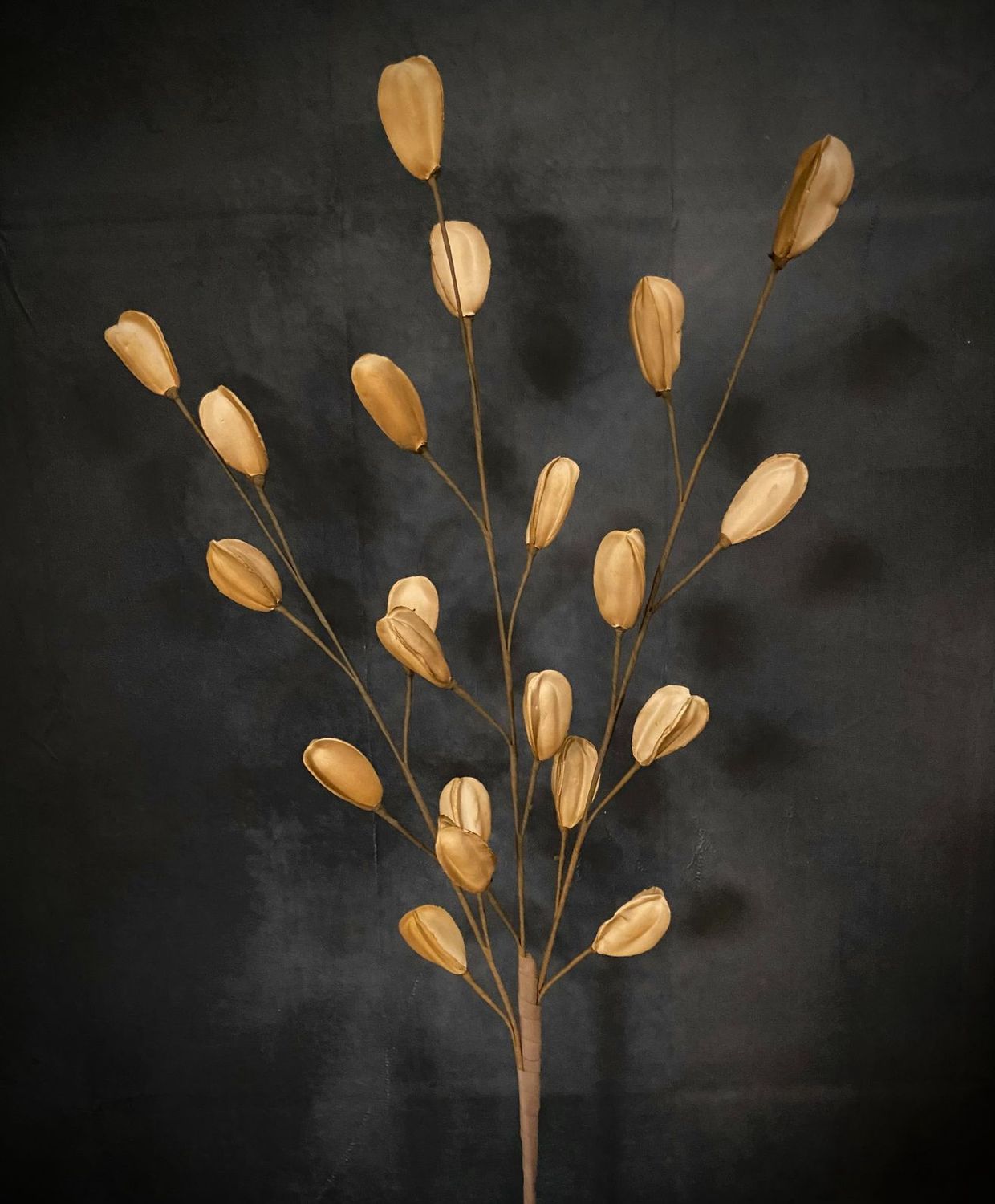 Stem, 41" Khaki Pods