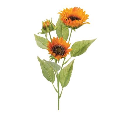 Stem, Triple Sunflower 26"