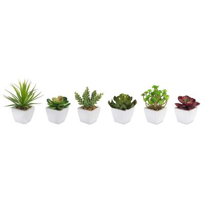 Faux, Potted Succulent in White Ceramic Pot  7" 6 Asst