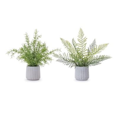 Faux Greenery, Potted Fern 14.5" 2 Asst