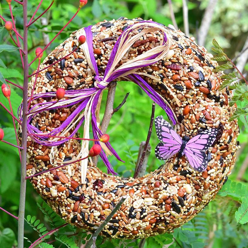 Bird Seed, Wildfare Wreath