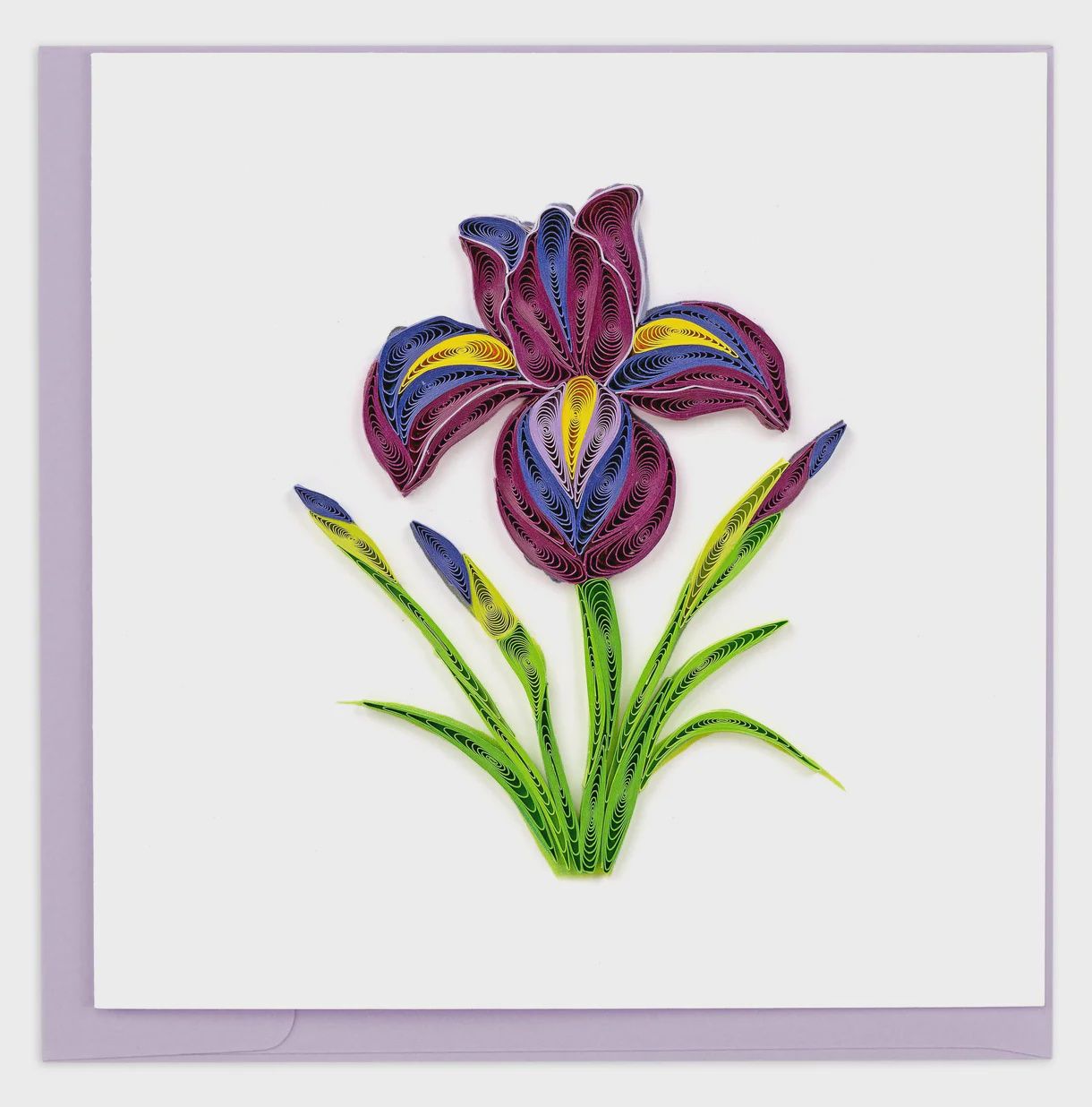Quilling Card, Iris