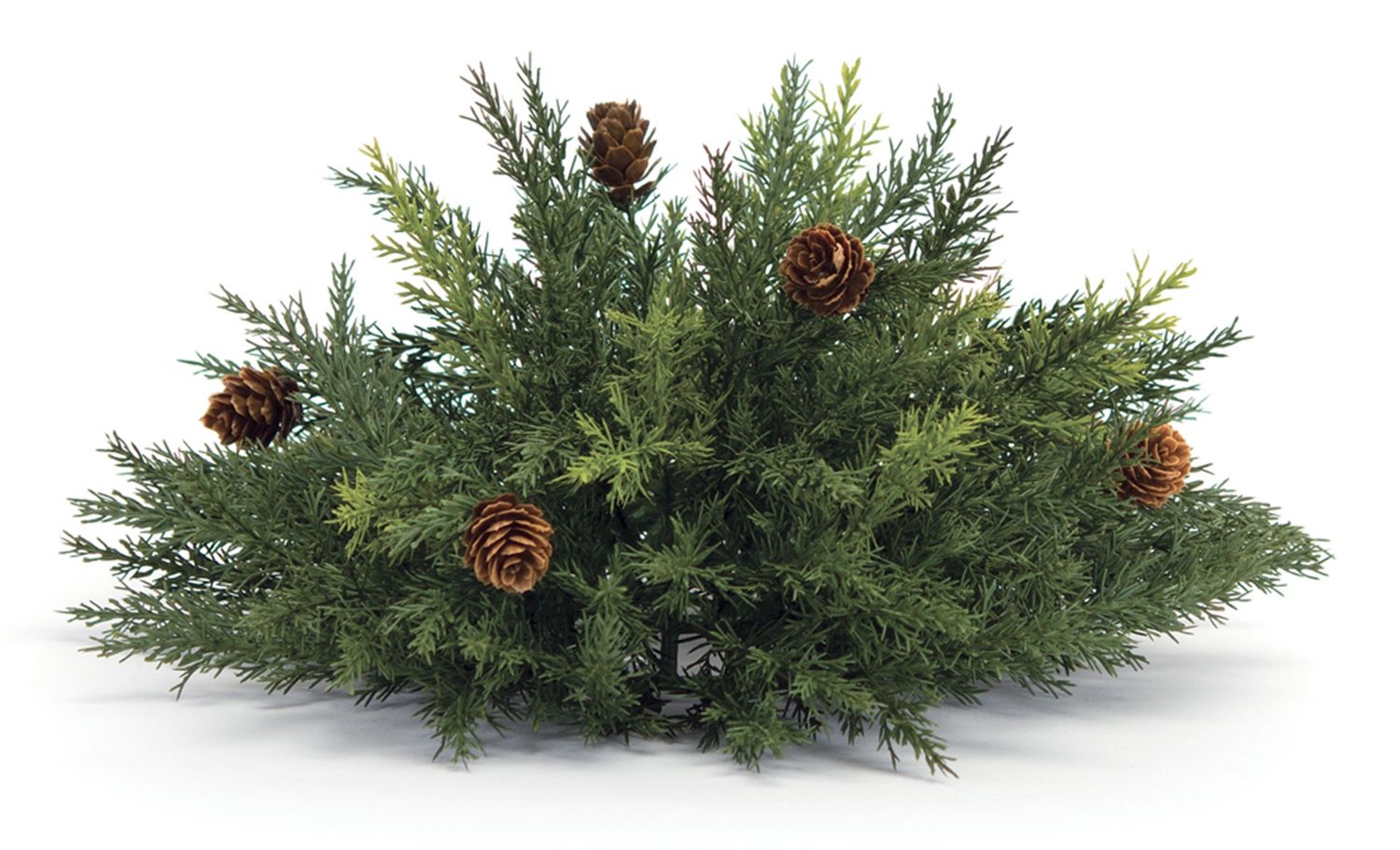Orb, Half Arborvitae 13"