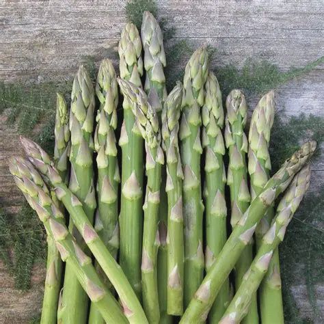 Asparagus, Mary Washington 2 yr #1