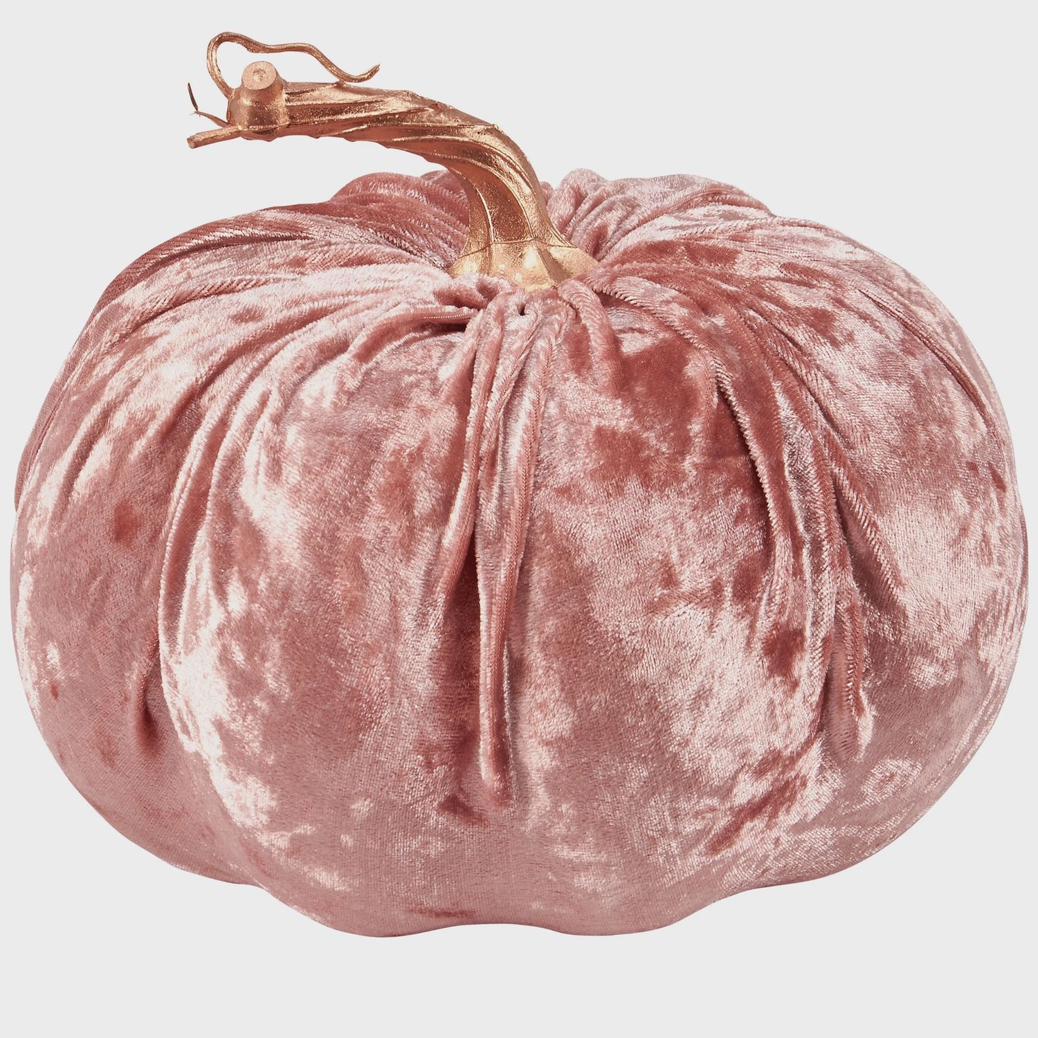 Pumpkin, Blush Velvet 6"