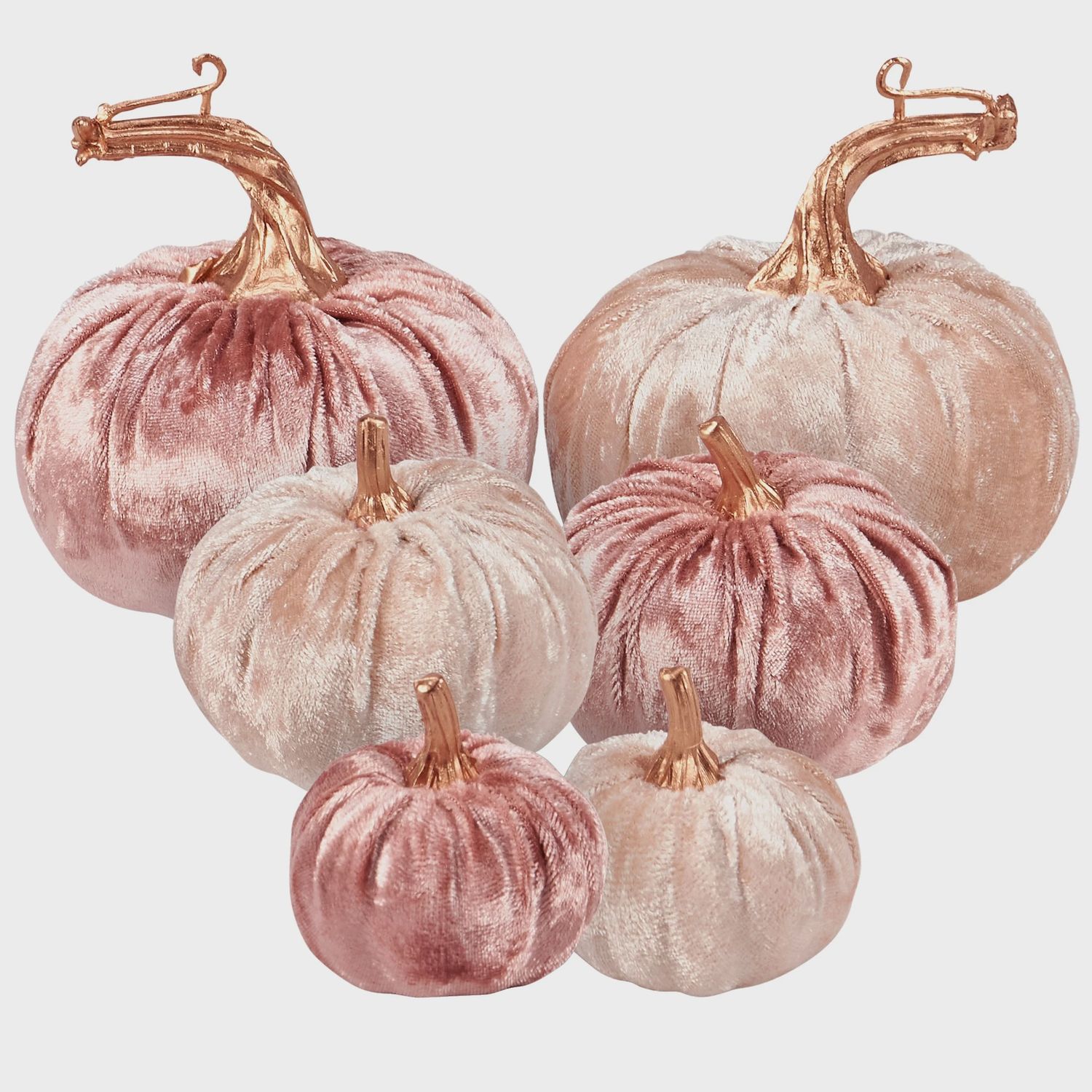 Pumpkin, Blush Velvet Set/6