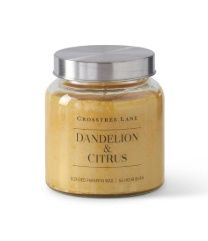 Candle, Dandelion &amp; Citrus 11oz