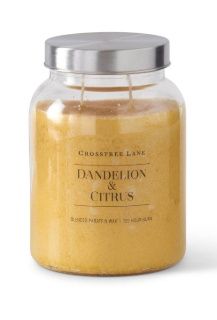 Candle, Dandelion &amp; Citrus 24oz