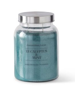 Candle, Eucalyptus &amp; Mint 24oz