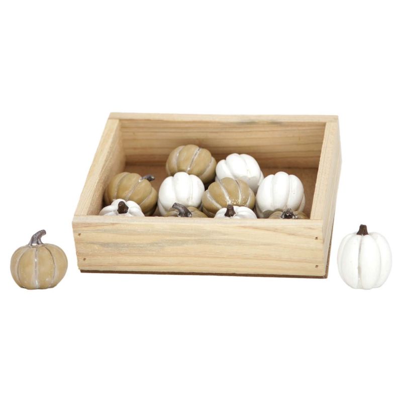 Pumpkin, White/Brown Mini Set/12 Boxed