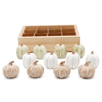 Pumpkin, 12pc Mini Boxed Wht/Grn/Tan