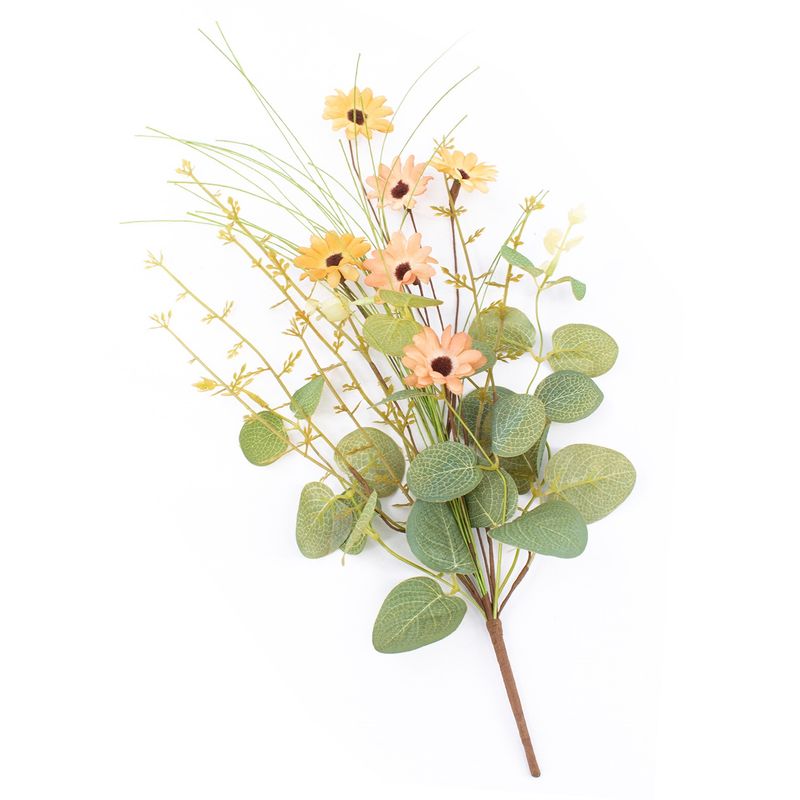 Pick, Apricot Little Daisy