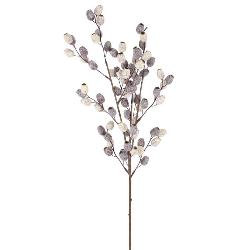 Spray, 31&quot; Cream/Plum Powder Berry