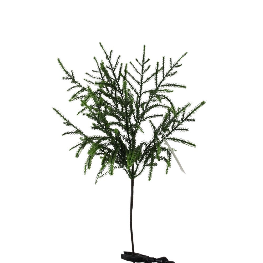 Spray, 24&quot; Norfolk