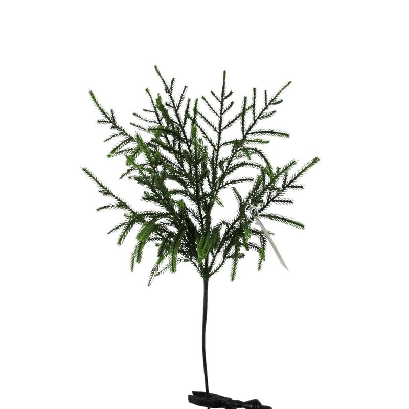 Spray, 24&quot; Norfolk