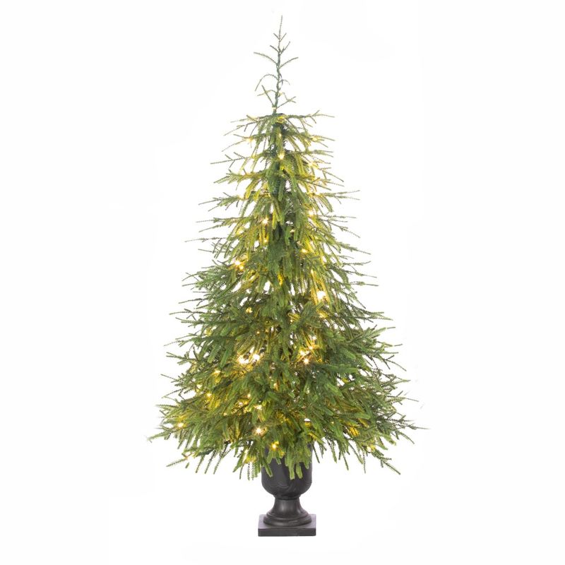 Tree, 4&#39;x30&quot; Norfolk Pine Potted