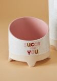 Planter, Succa 4 You 5.5"