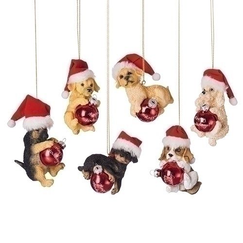 Ornament, 4&quot; Dog w/Santa Hat 6 Asst Holding Glass Ball