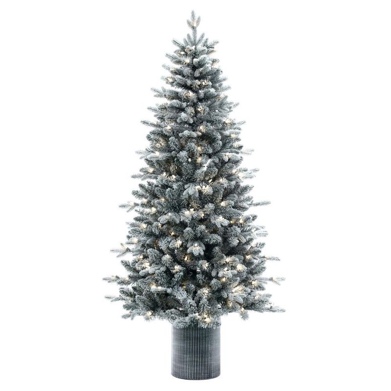 Tree, 6&#39;x39&quot; Frosted Potted Spruce Dura Lit 200Warm White