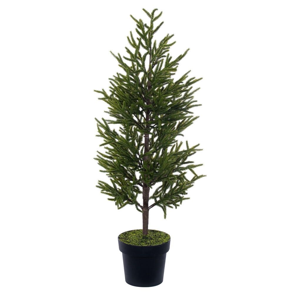Tree, 40&quot; Potted Green Norfolk Pine