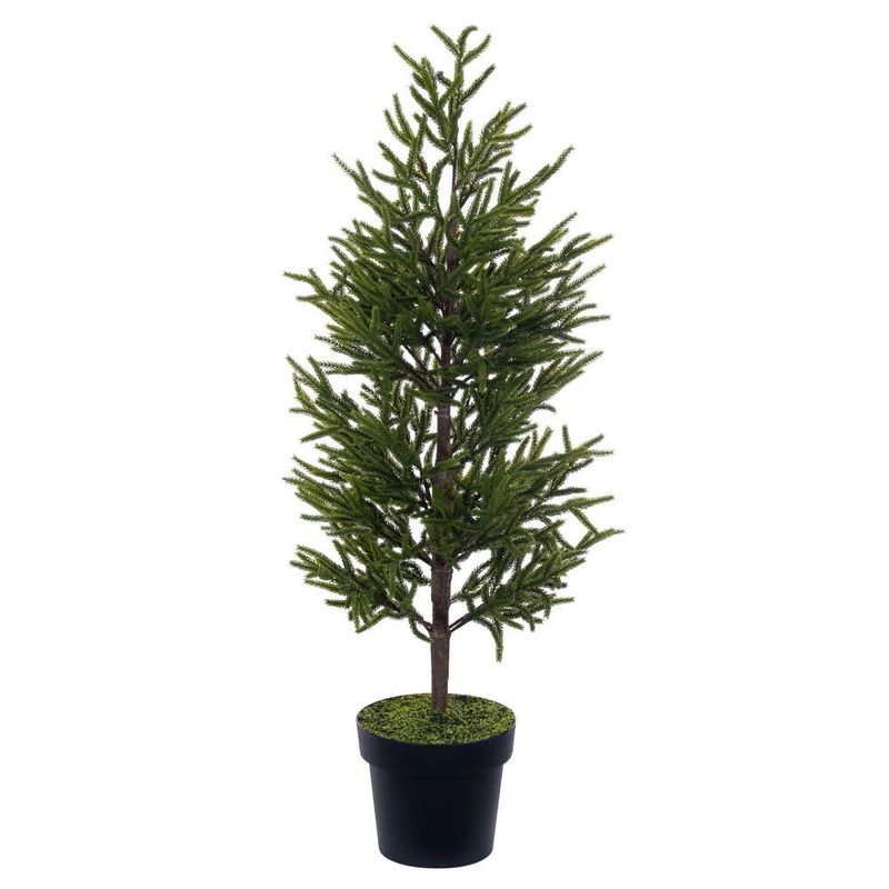 Tree, 40&quot; Potted Green Norfolk Pine