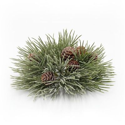 Orb, Mugo Pine Frosted