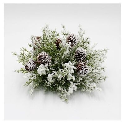 Orb, Snowy Arborvitae 10&quot;