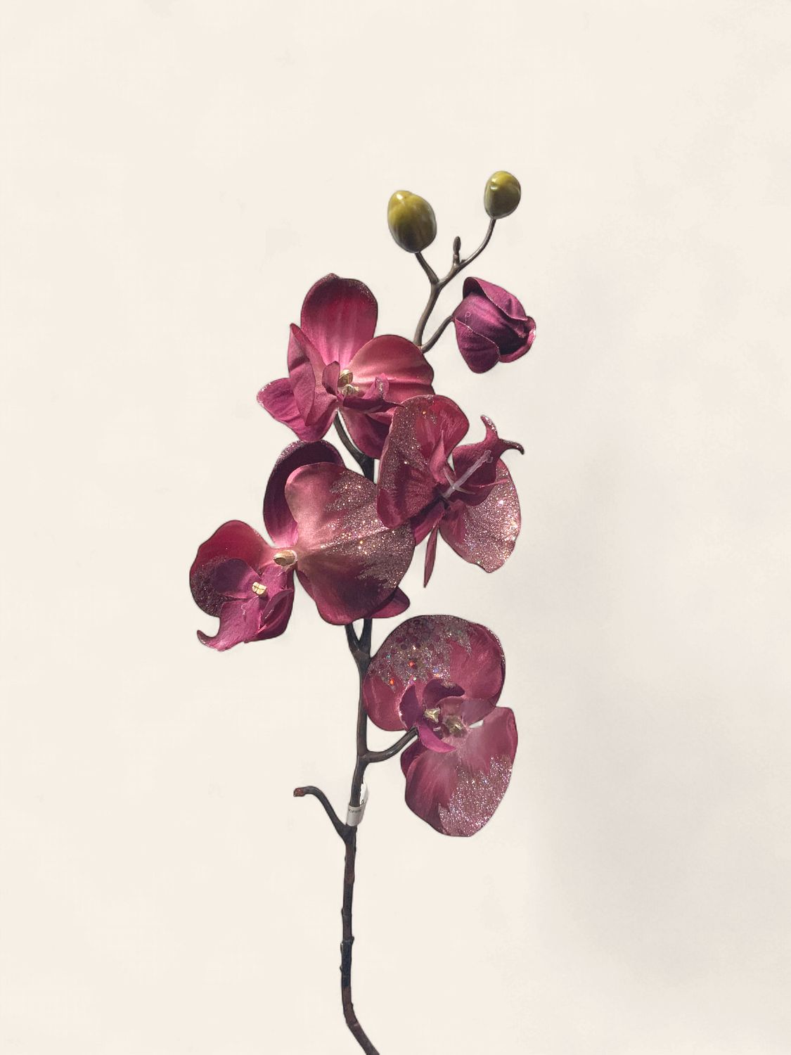 Orchid, Glitter Plum