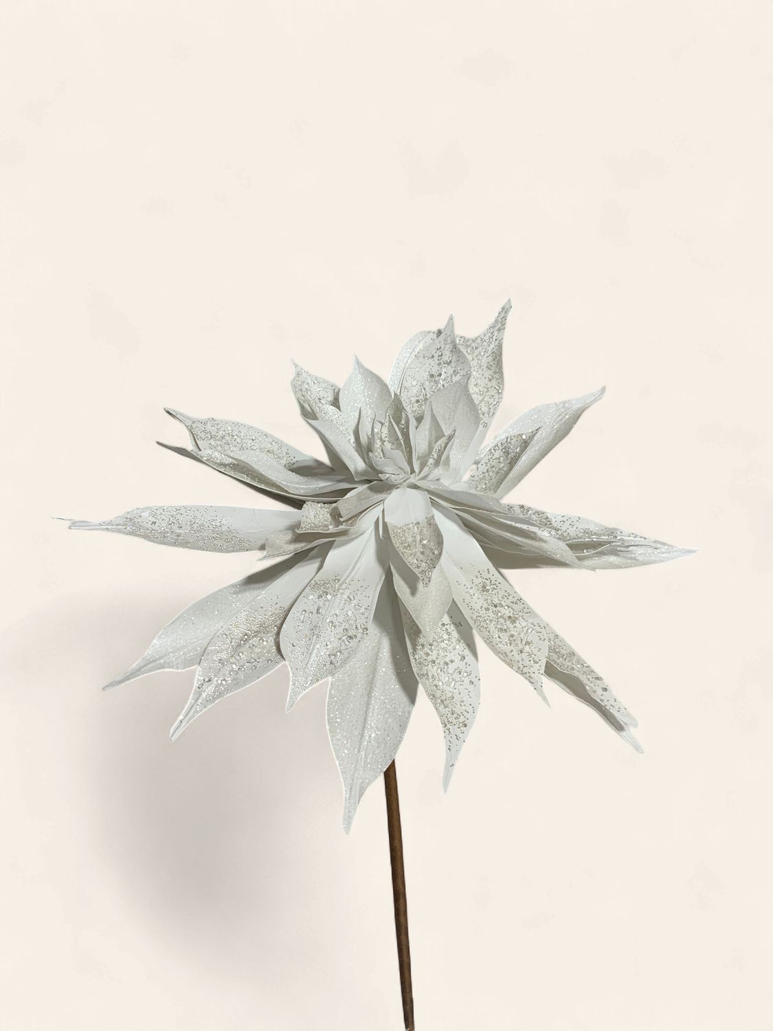 Pick, Echeveria White 20" frosted