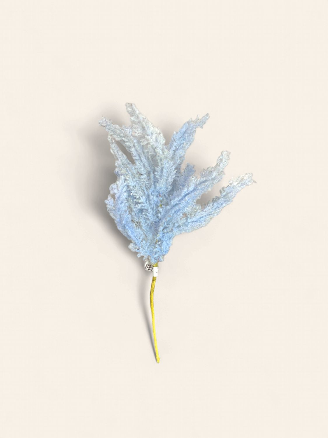 Pampas Bundle, Flocked 14" blue