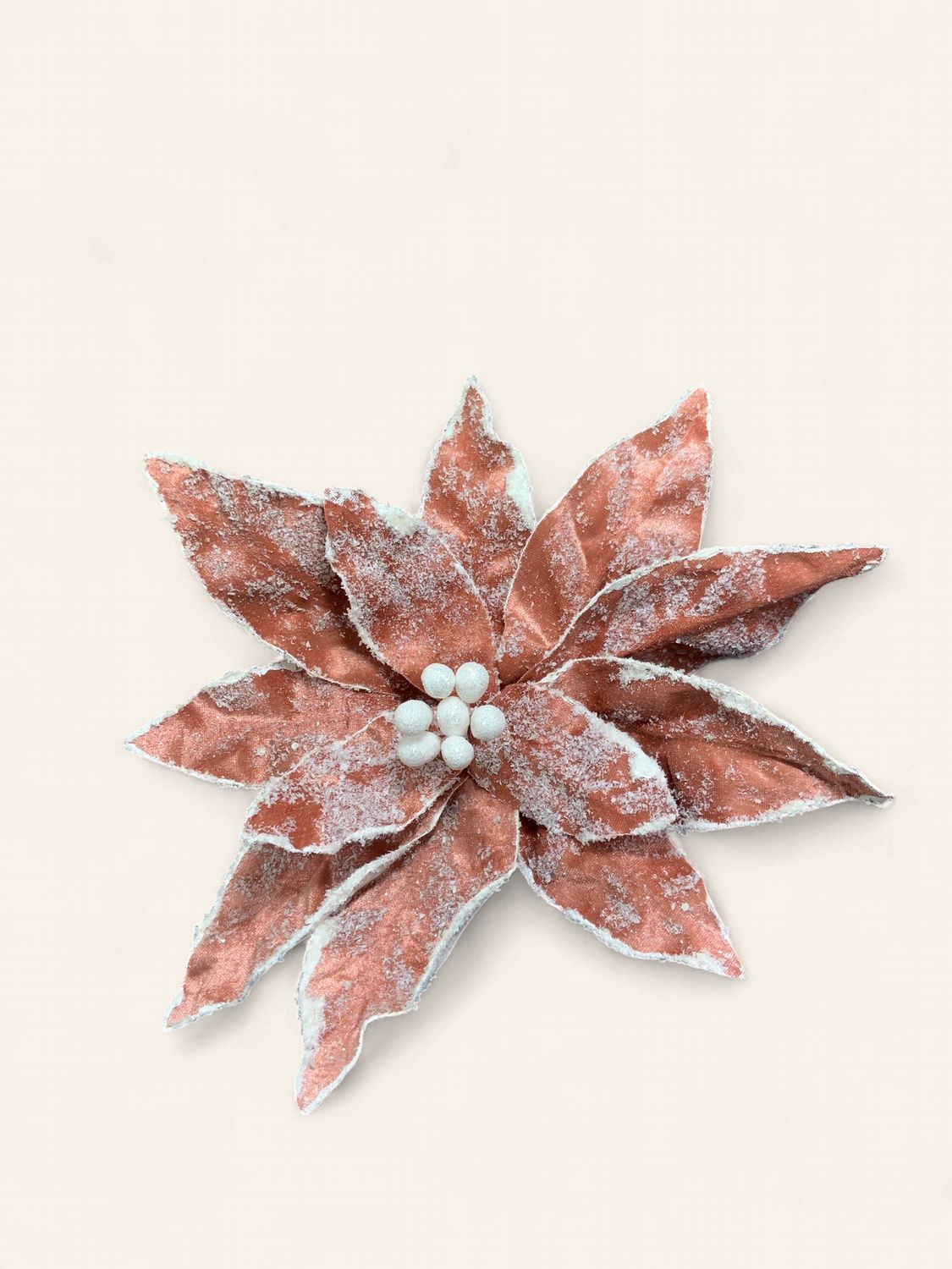 Poinsettia, Sugar 22" Blush