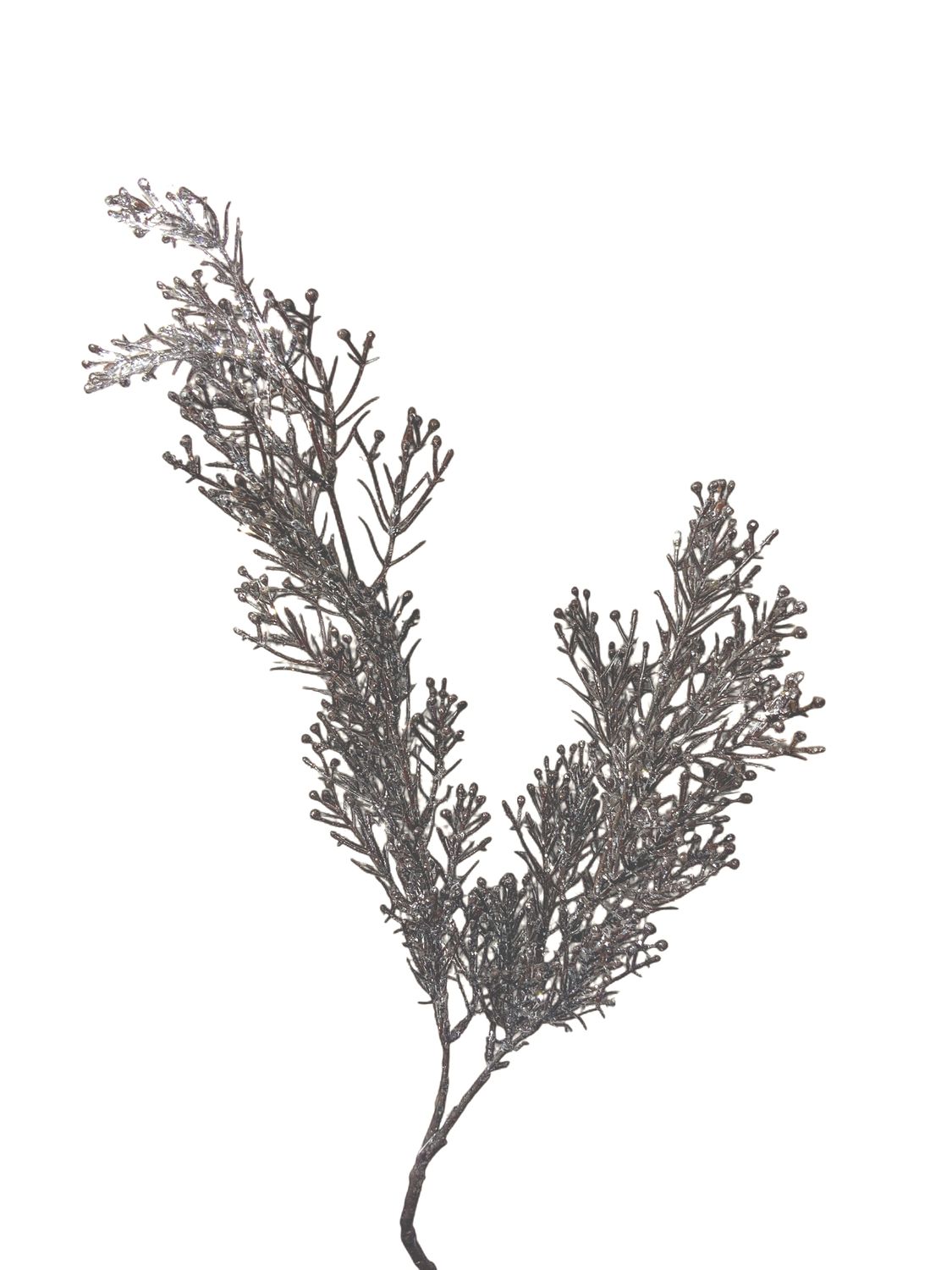 Pine Spray, 31" Berry mini frost