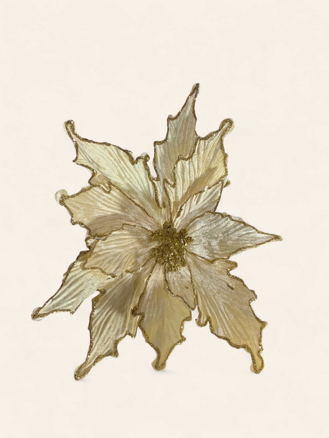 Poinsettia, Ivy Gold Line