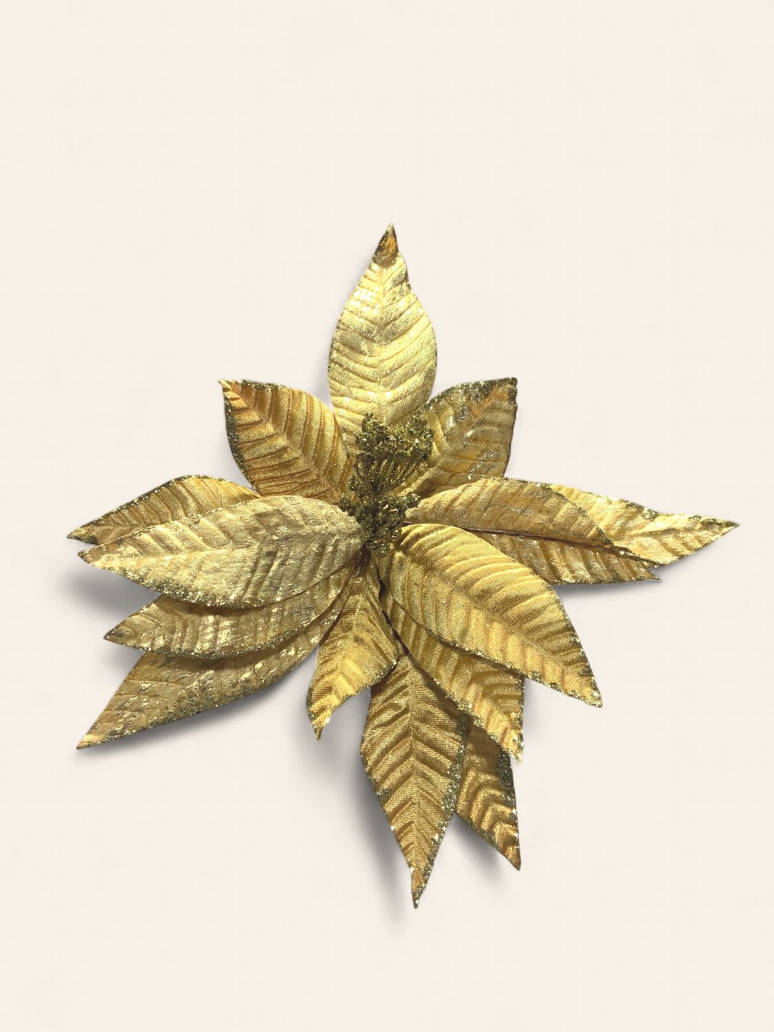Poinsettia, Gold Glt edge