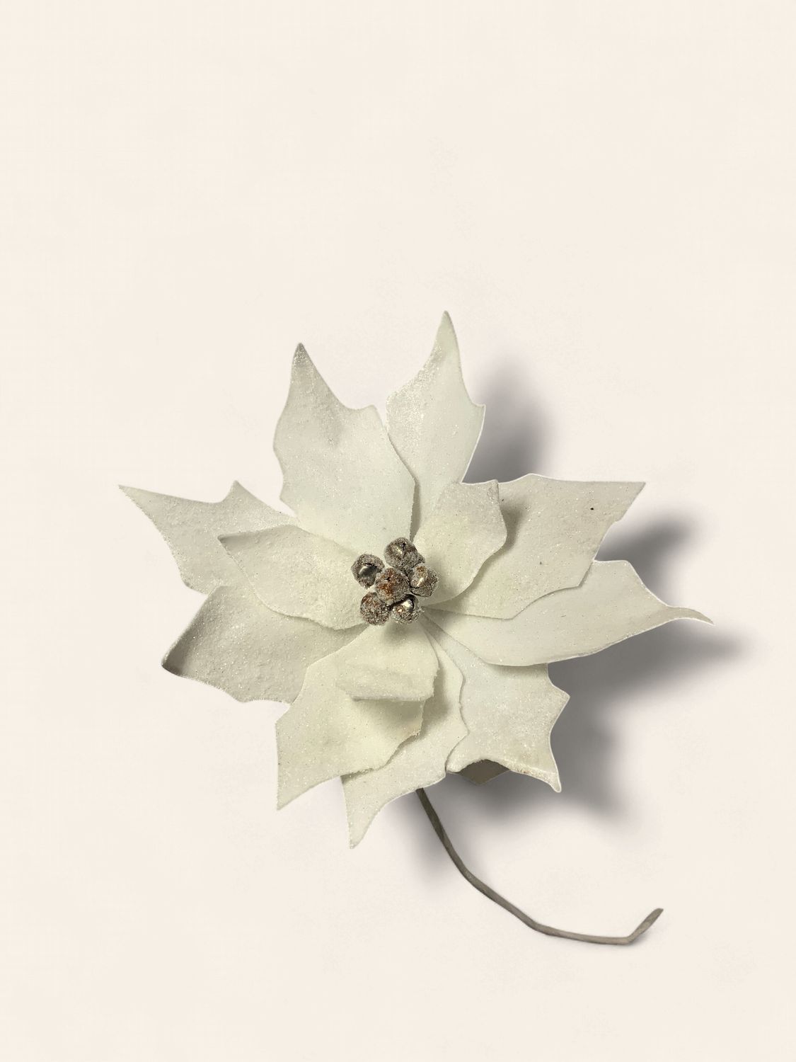 Poinsettia, White Frost Bell Center